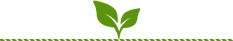 Sprig Icon